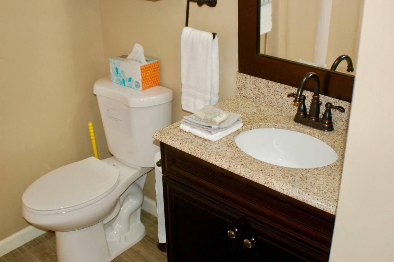 Blue Bear Den 3Br 2Ba Dtc Private Apt Hot Tub Extérieur photo